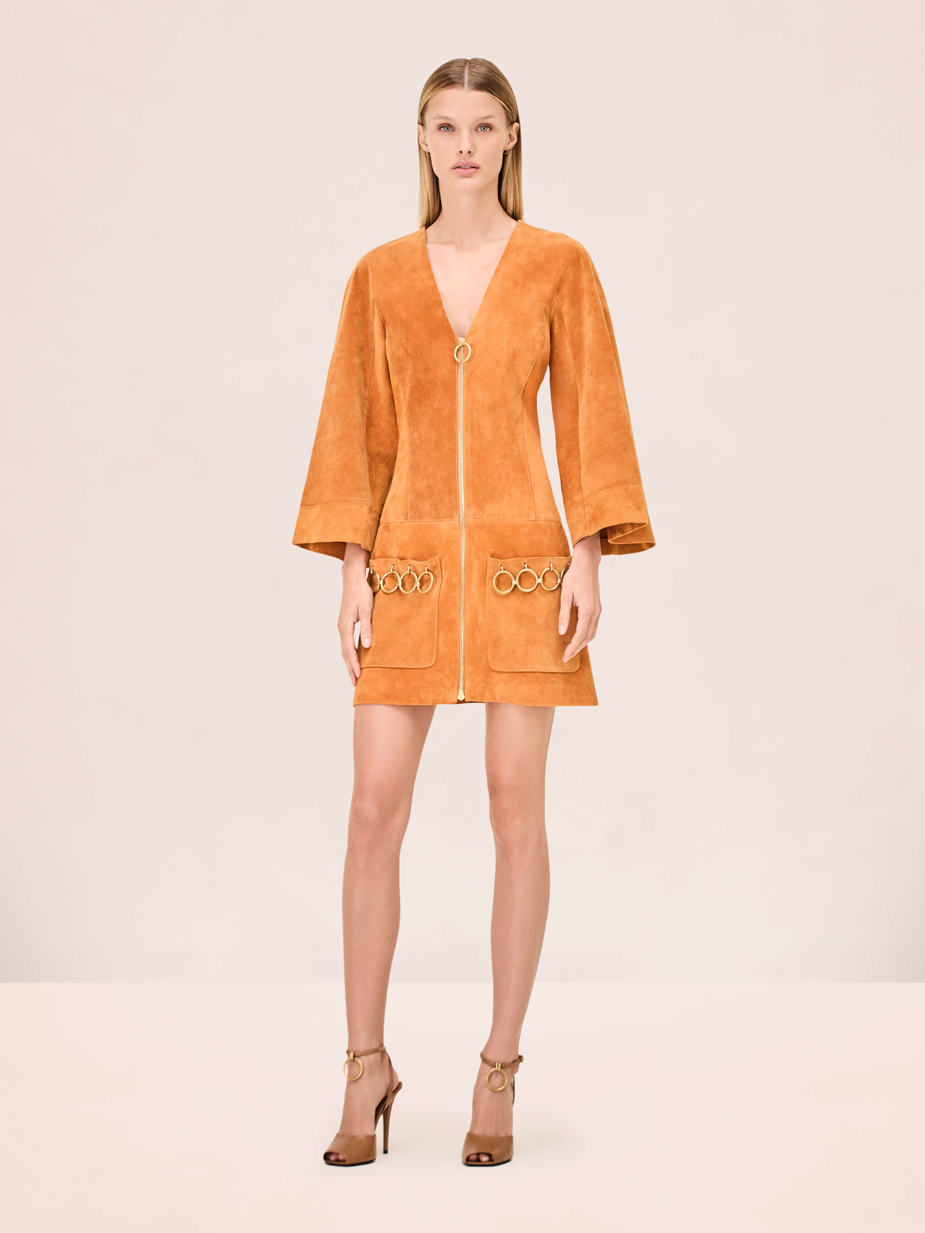 Anesa Dress