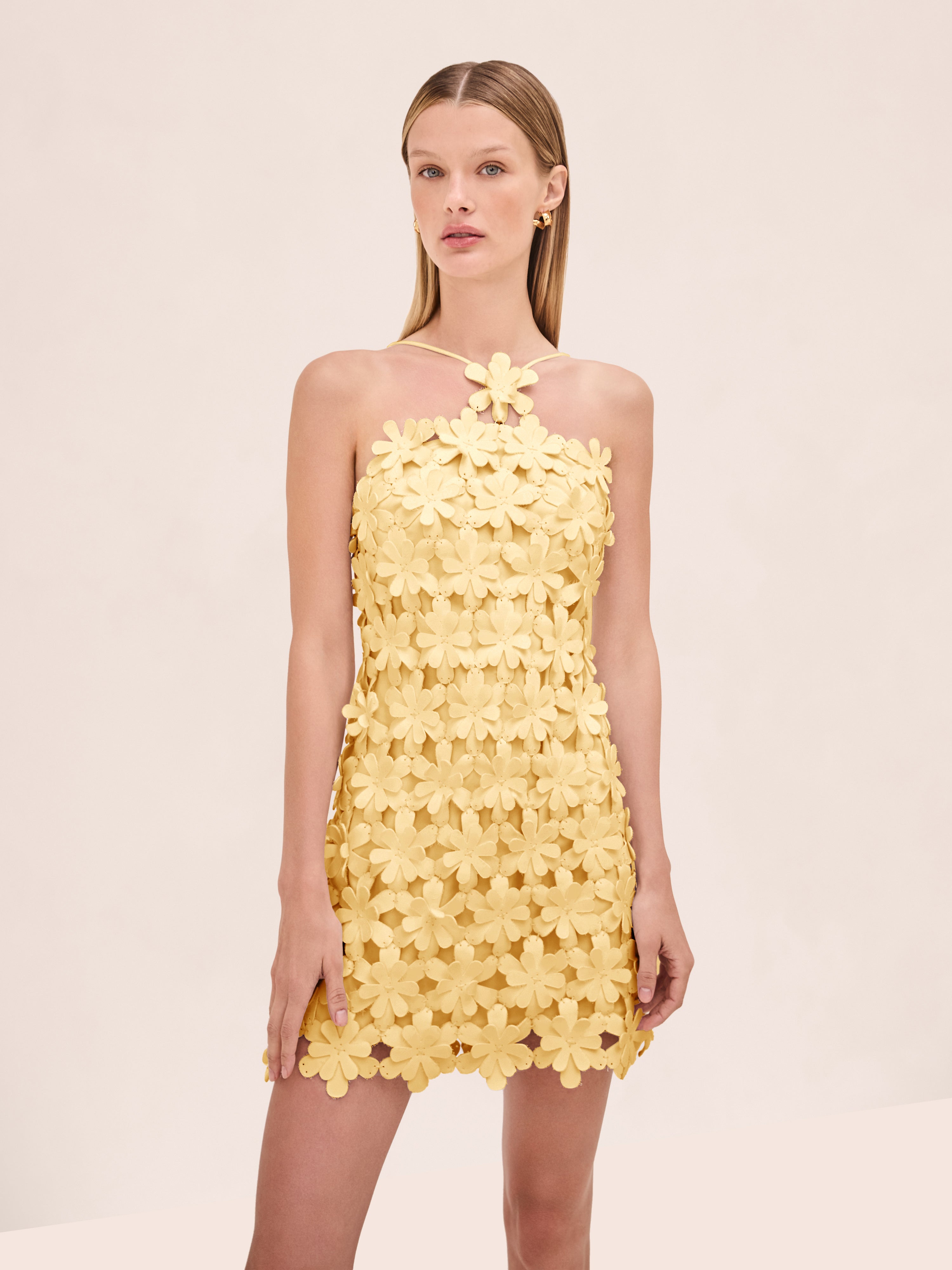 Lily Dress