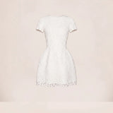 Regatta Dress