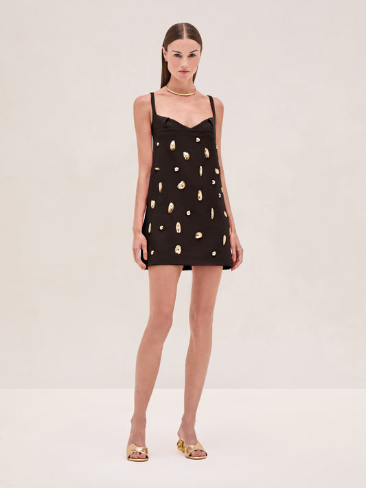 Larsen Dress