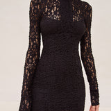 Alexis Delia long sleeve, mock turtle neck lace mini dress in black.