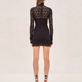 Alexis Delia long sleeve, mock turtle neck lace mini dress in black.