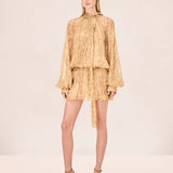Hailey Dress