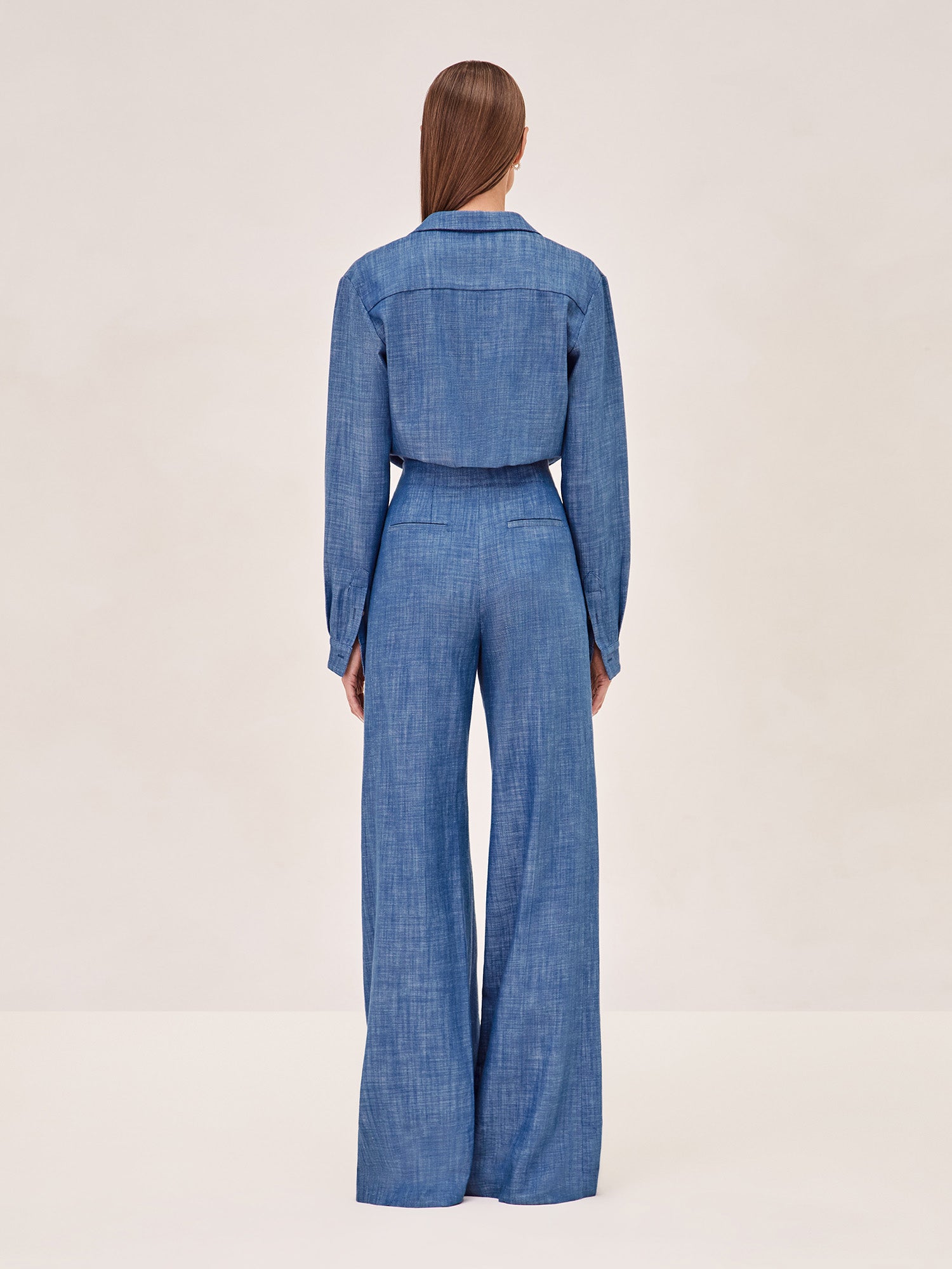 ALEXIS Jadie long sleeve  Denim Button up top back image