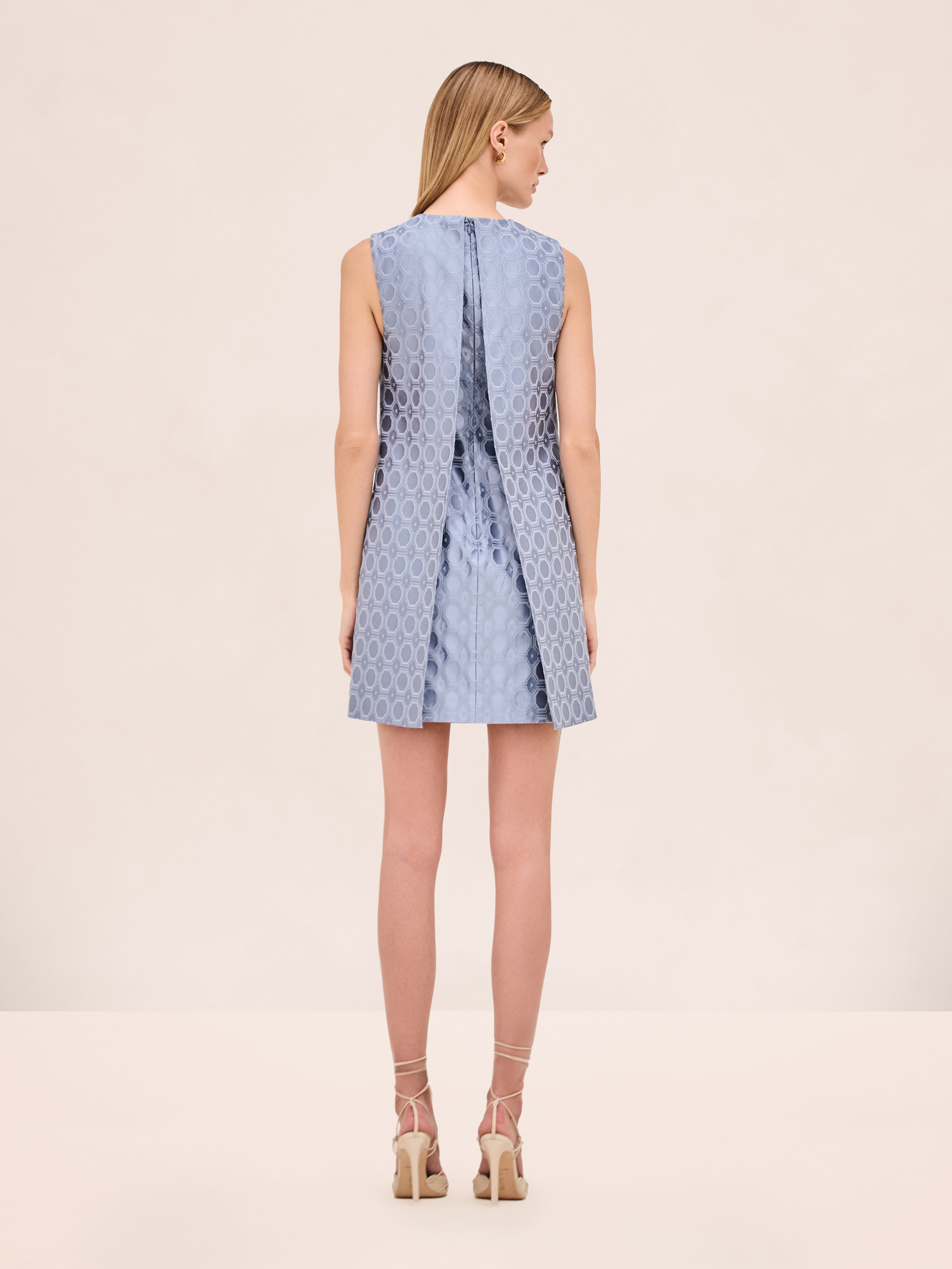 Asha Dress