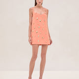 Larsen Dress
