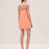 Larsen Dress