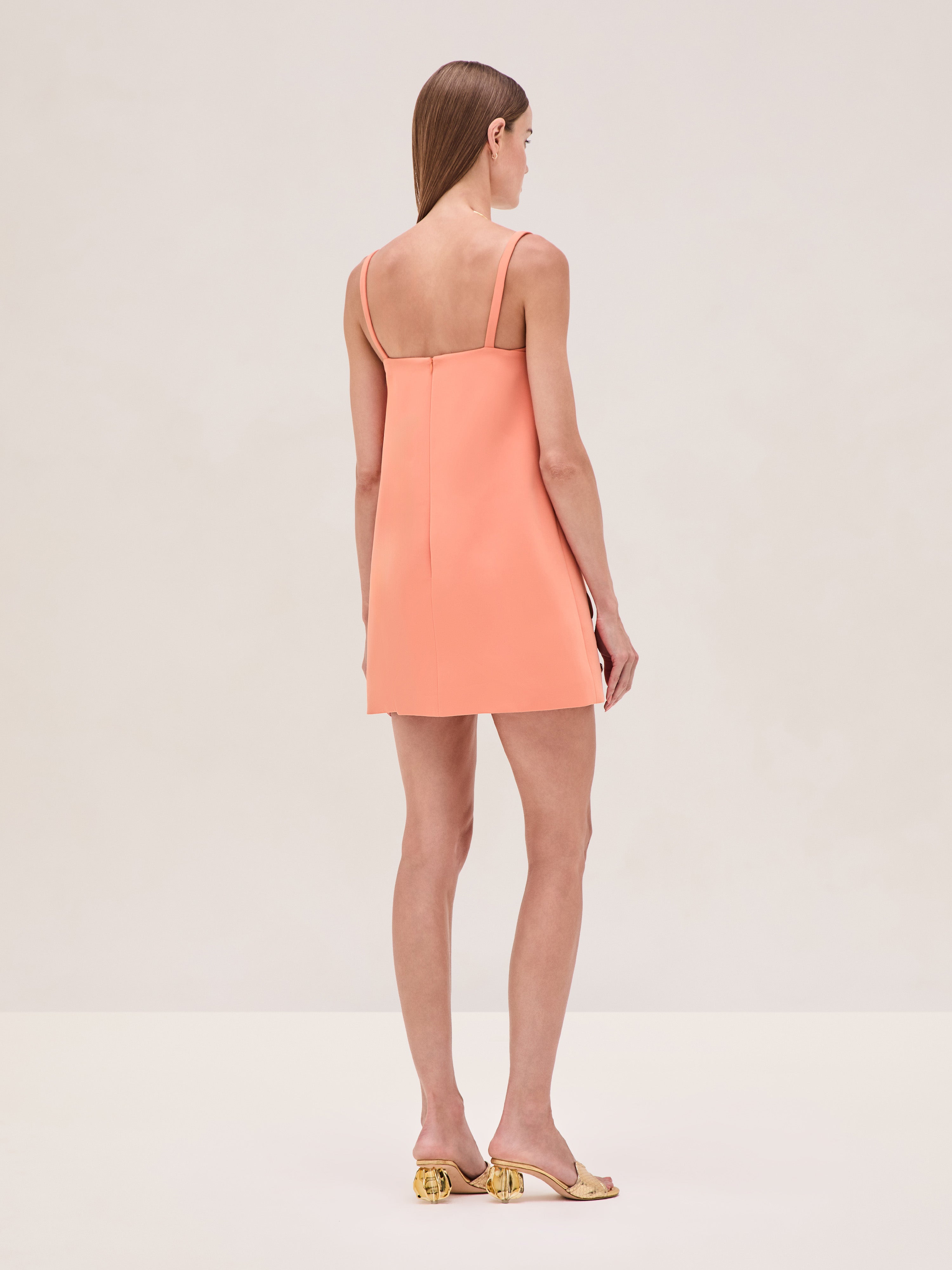 Larsen Dress