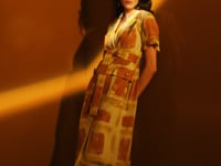Arbena Dress