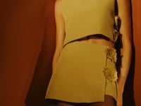 Susie Skirt