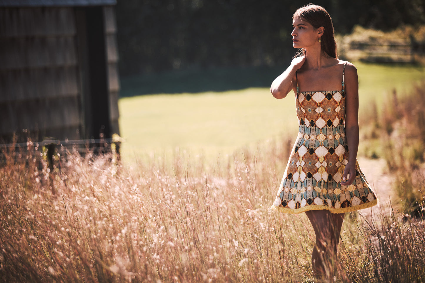 Cruz Dress