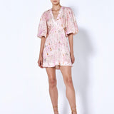 Linea Dress